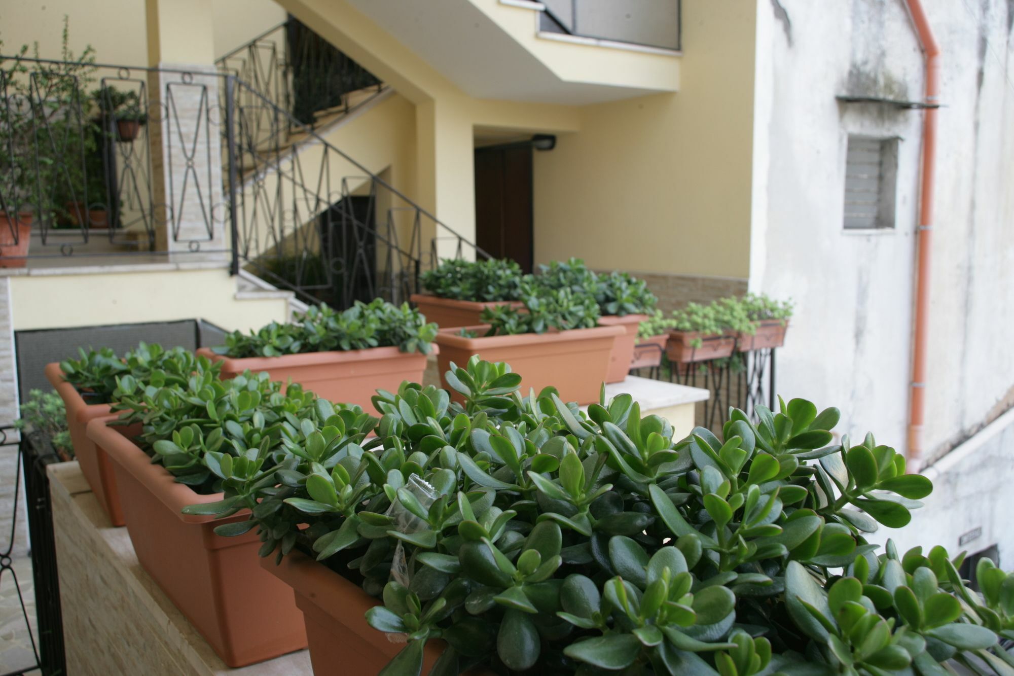 Appartement Casa Carmen à Naples Extérieur photo